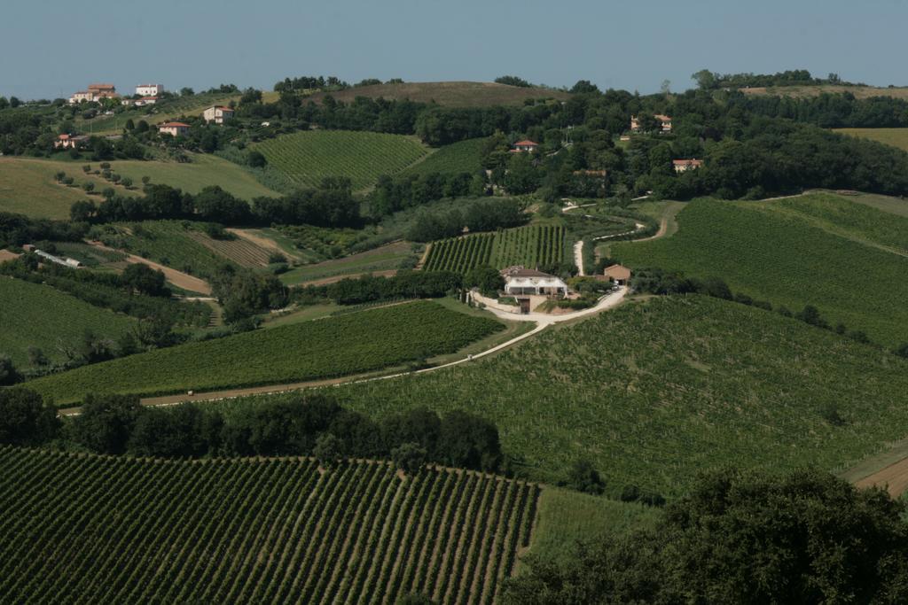 Agriturismo Le Vigne Del Conero Ankona Zewnętrze zdjęcie